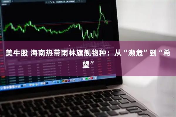 美牛股 海南热带雨林旗舰物种：从“濒危”到“希望”